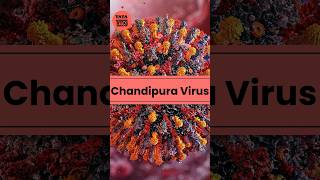 Chandipura Virus Infection बच्चों को सबसे ज़्यादा खतरा जाने इस बीमारी के लक्षण chandipuravirus 1MG [upl. by Warfold]