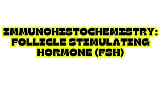 IMMUNOHISTOCHEMISTRY FOLLICLE STIMULATING HORMONE FSH [upl. by Bertold]