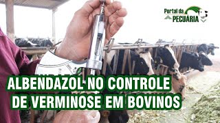 Albendazol no controle de verminose em bovinos Vermífugos para bovinos [upl. by Bouchier]