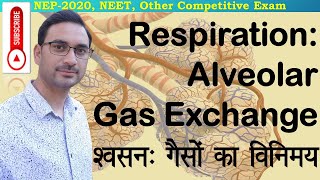 Respiration  Alveolar Gas Exchange  Diffusion of O2 and CO2  गैसों का विनिमय  Partial Pressure [upl. by Anert117]