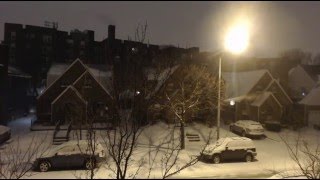 Blizzard 2016 Live  Queens NYC January 23rd 2016 [upl. by Arikal942]