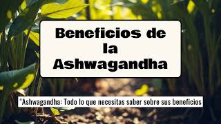 Beneficios de la Ashwagandha [upl. by Corrina]