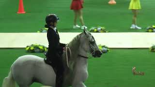 MACARENA OCHOA POSADA MEDALLA DE ORO AMAZONAS JUNIOR A VALIDA DE EQUITACION CALARCA ARMENIA 2024 [upl. by Nalyd]