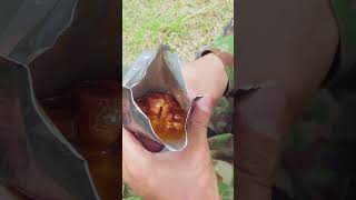 JSDF military rations are they any good 12 [upl. by Alil]