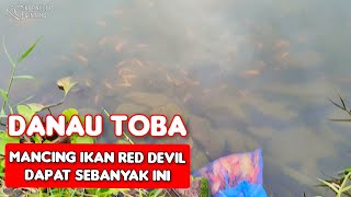 MANCING IKAN RED DEVIL DANAU TOBA [upl. by Dine]