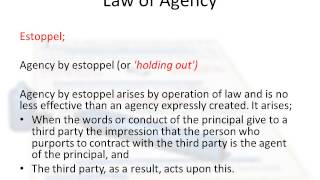 Law of Agency in Ireland [upl. by Berky241]