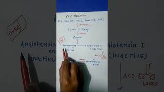 Raas Mechanism In Kidney  rass mechanism  Class 11 [upl. by Sonni]