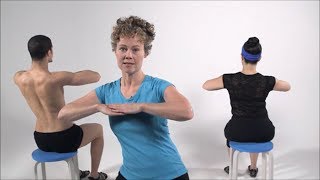 Exercise for Stiff Back  Improve spinal flexibility fast [upl. by Taddeo463]