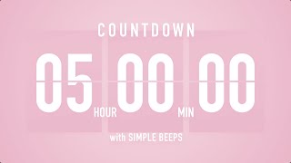 5 Hours Countdown Flip Clock Timer  Simple Beeps 🌸🔔 [upl. by Yanad]