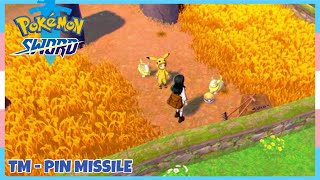 Where To Find TM Pin Missile In Pokemon Sword amp Shield  Location Quick Guide [upl. by Amelie917]