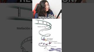 Regulación de la expresión genética eucariota ubaxxi uba cbc ciencia biologia biolyl [upl. by Garlanda]