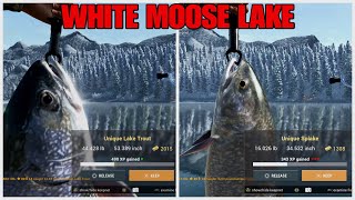 Unique Lake Trout And Splake Guide  White Moose Lake  Fishing Planet [upl. by Ferrigno208]