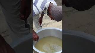 Extracting salt from sea wateryoutubeshorts [upl. by Bez]