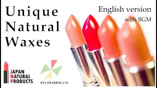 ☆For Color Cosmetics☆ Candelilla wax series JNP  English version with BGM [upl. by Ybor197]