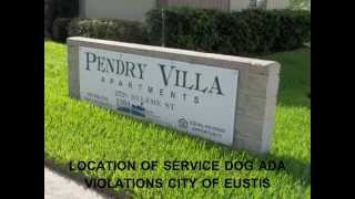 Florida Service Dog Statutes Violation City of Eustis LAKE CO FLA [upl. by Tadich271]