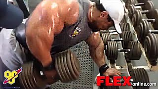 Roelly Winklaars Savage Back Workout For Mass [upl. by Novej]