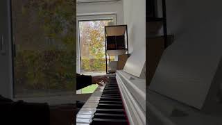 OMORI Final Duet  Piano Cover piano omorishorts [upl. by Dibbrun]