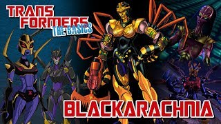 TRANSFORMERS THE BASICS on BLACKARACHNIA [upl. by Wulfe]