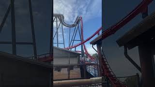 Sheikra lift and drop amusementpark buschgardenstampa rollercoaster [upl. by Taryne393]