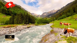 🇨🇭 Most Beautiful Places In Switzerland Lauterbrunnen Grindelwald Mürren Relaxing Walk 4K [upl. by Nnylatsyrk]