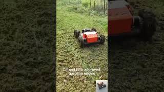 Where to buy Vigorun VTLM800 cordless tracked lawn cutter online [upl. by Wicks98]