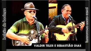 VALDIR TELES E SEBASTIÃO DIAS – Quem Visita O Nordeste Brasileiro Se Gostar De Cultura Se Apaixona [upl. by Fonseca230]