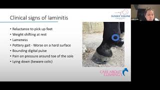 Laminitis  Part 1 [upl. by Finzer]