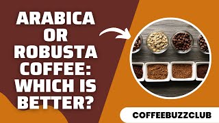 Arabica or Robusta Coffee Which is Better  Coffee Buzz Club [upl. by Nylecaj]