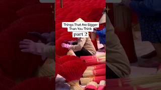 Things That Are Bigger Than You Think 😨Part2shorts viral tiktok fyp universe [upl. by Lananna503]