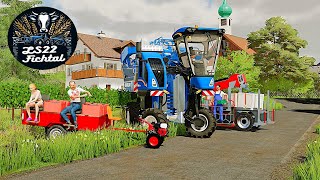 LS22 Fichtal 135  Zum ENDE Trauben Ernte mit 3 Verschieden GERÄTEN  FARMING SIMULATOR 22 [upl. by Notxarb]