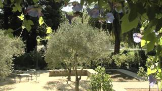 Mediterranean Landscape Design [upl. by Malik]