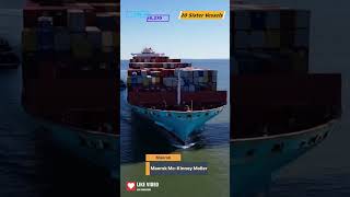 Container Ships  Maersk McKinney Moller shipping sailor cadet ship [upl. by Ennayhc]