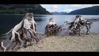 Strathcona Provincial Park  Vancouver Island BC 2021 [upl. by Aloise]