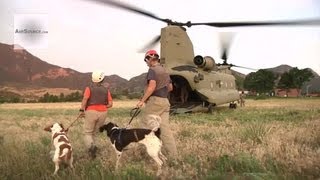 Search and Rescue Dogs Boarding a CH47 Chinook Helicopter [upl. by Vena]