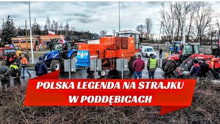 BIZON POLSKA LEGENDA NA STRAJKU PODDĘBICEPRAGA [upl. by Akeber]