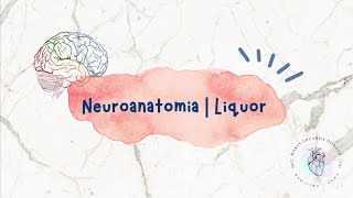 LÍQUOR PLEXO COROIDE VENTRÍCULOS E BARREIRA HEMATOENCEFÁLICA  NEUROANATOMIA [upl. by Zeculon879]