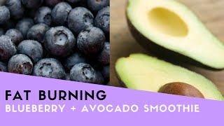 Blueberry  Avocado Fat Burning Smoothie Recipe [upl. by Ailalue]