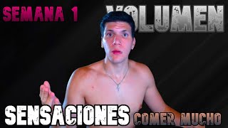 PRIMERAS SENSACIONES EN MI ETAPA DE VOLUMEN  VLOG 2 [upl. by Betteann]