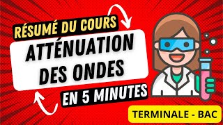 Cours Atténuation des ondes  Essentiel en 5 minutes  Terminale  BAC [upl. by Anilys143]