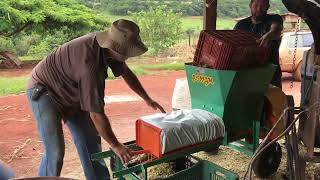 Ensacando Silagem BRS Capiaçu com ensacadora RS35GM DoCampo Agricola [upl. by Hagai]