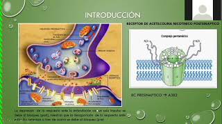 Bloqueantes Neuromusculares  Rojas 2021 [upl. by Jedediah]