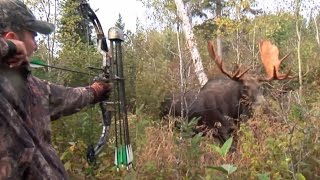 Moose Hunt With Couple Bow and Perfect Shot HD [upl. by Airotnahs]