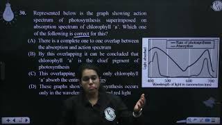 Represented below is the graph showing action spectrum of photosynthesis superimposed on absorpt [upl. by Tia]