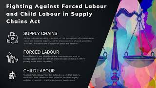 Requirements amp responsibilities for Fighting Against Forced Labour and Child Labour in Supply Chains [upl. by Thacker]