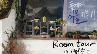 Room Tour석부작amp목부작 물주는 요령 이젠 과습이 지긋지긋해 밤의 정원놀이 투어 [upl. by Livvyy783]