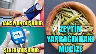 ZEYTİN YAPRAĞI MUCİZESİ [upl. by Stavros]