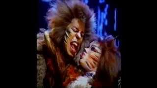 Cats the musicalRum Tum Tugger1980s [upl. by Riem]