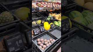 Inside supermarket Albert Heijn in netherlands [upl. by Yarased]