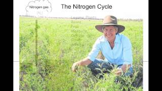 Nitrogen Cycle [upl. by Annavaig]