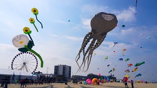 Cerfsvolants à BercksurMer 🪁 Festival et Rencontres Internationales des CerfsVolants  Slow TV [upl. by Eedya792]